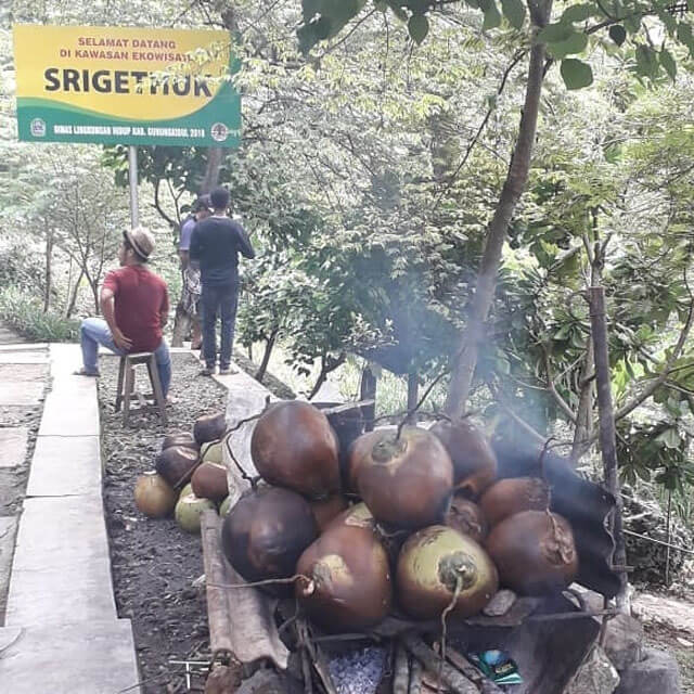 Kelapa Muda Bakar