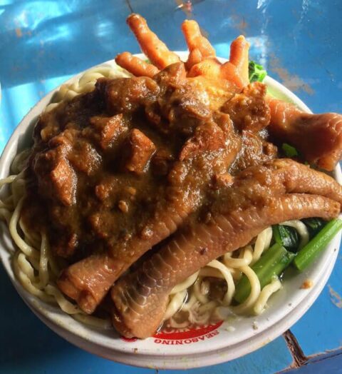 tumini sari raya jati ayu